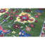 Hand-Knotted High-Quality Purple Area Rug