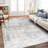 Roshun Noor Vintage Machine Washable Area Rugs-66908395-31129375