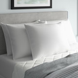 Cranleigh Polyester Plush Pillow