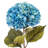 42" Hydrangea Stem-32653848-32653926