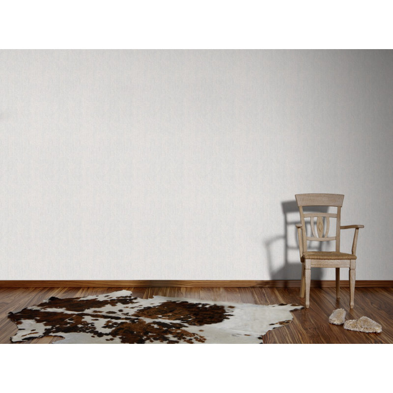 Non-woven wallpaper Meistervlies Pro Protect 2 - 2500 x 106 cm