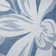 Seraphine Indoor / Outdoor Rug