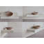 Lavabo de salle de bain vasque ovale en béton L 24 po x l 13,8 po Vast Studio, lavabo de comptoir moderne-97549046