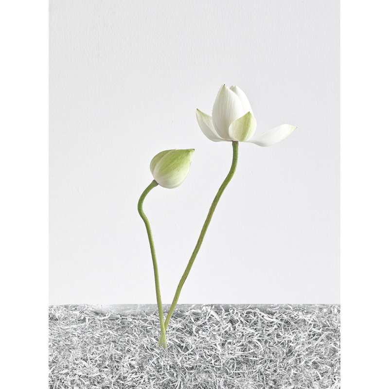1 par Scott Norris - photographie, Toile encadrée noire, H 25 po x l 33 po