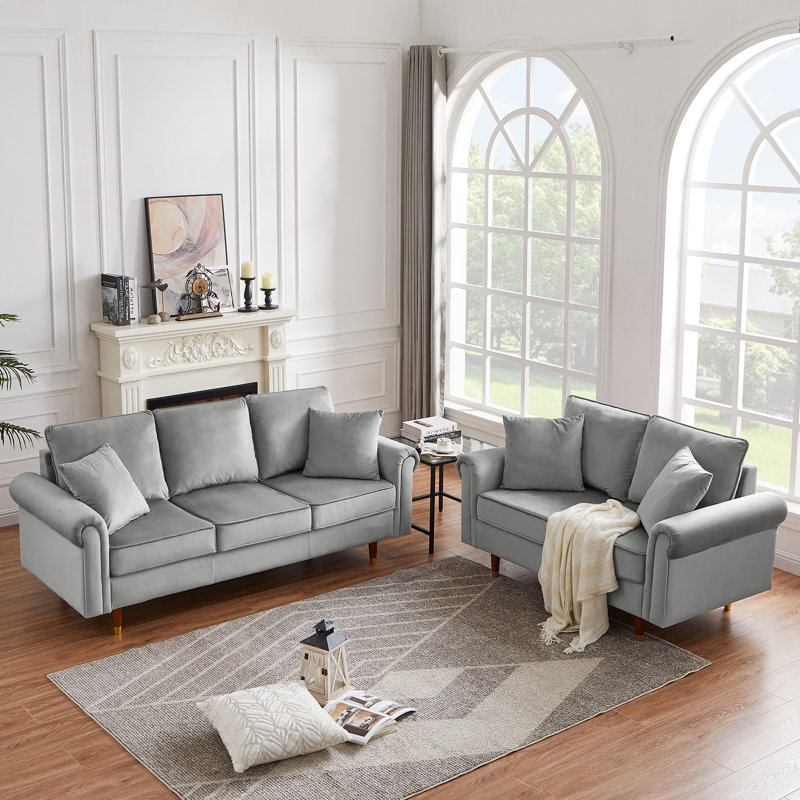 Ensemble de salon en velours 2 pièces Daithi, Velours gris clair