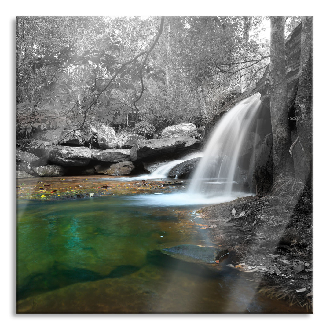 Glasbild Wasserfall im Wald