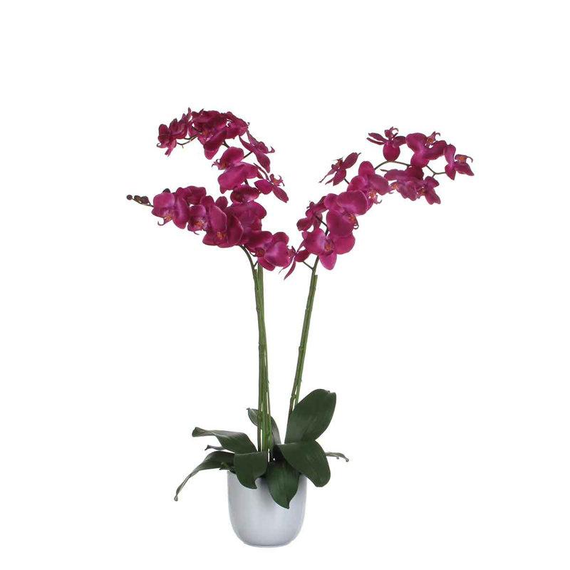 Orchid Arrangement in Pot, Purple