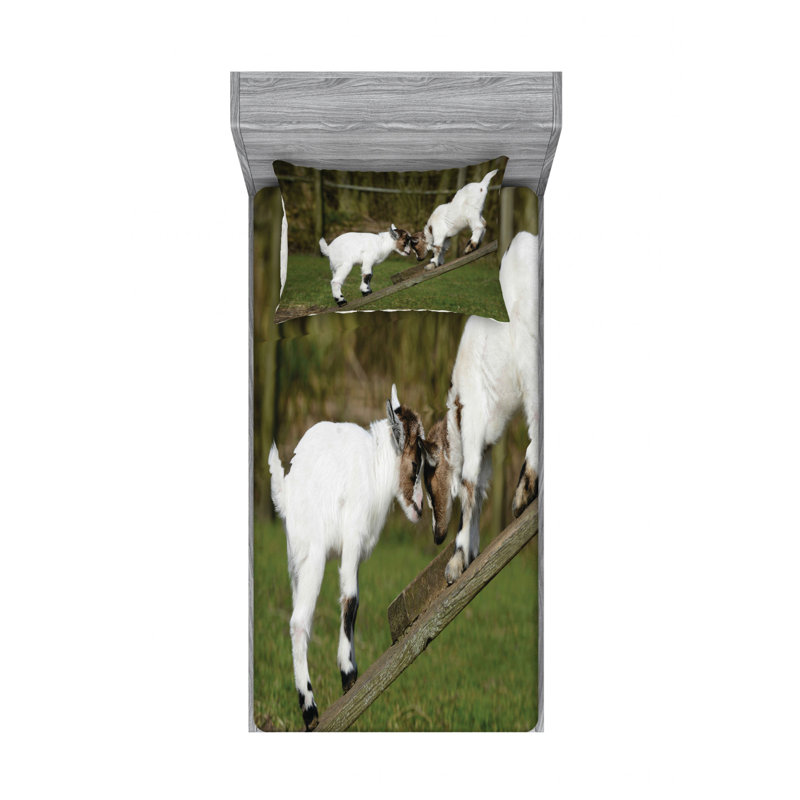 Microfiber Sheet Set