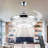 Fenisia 42'' Ceiling Fan with LED Lights