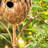 Maestas 67'' H x 11.25'' W x 7.5'' D Weather Resistant Birdhouse