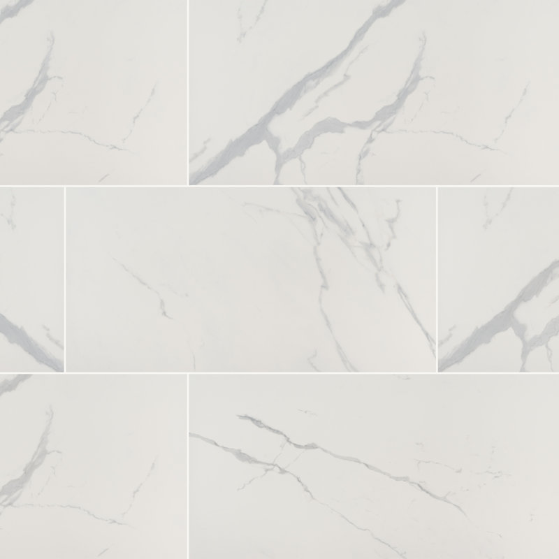 Ackland Ardena 24 in. x 48 in. Matte Porcelain Stone Look Floor and ...