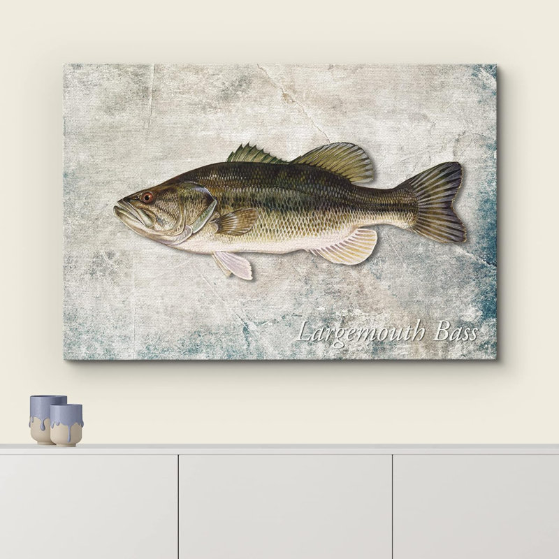 " Largemouth Bass Fish On Granite "