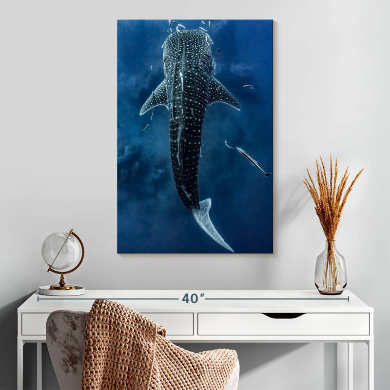 Brampt Spotted Whale Shark, 30" H x 20" W
