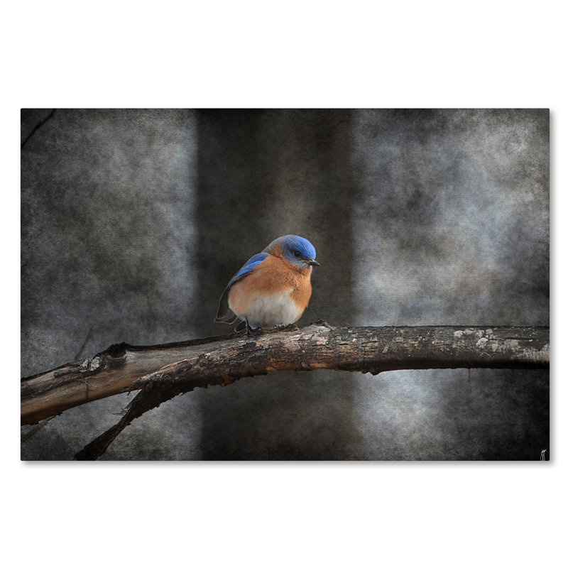 «Last Day Home Bluebird» de Vidur, impression sur toile tendue, H 30 po x l 47 po