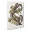 Hare Squirrels by J.W. Audubon - Wrapped Canvas-55360701