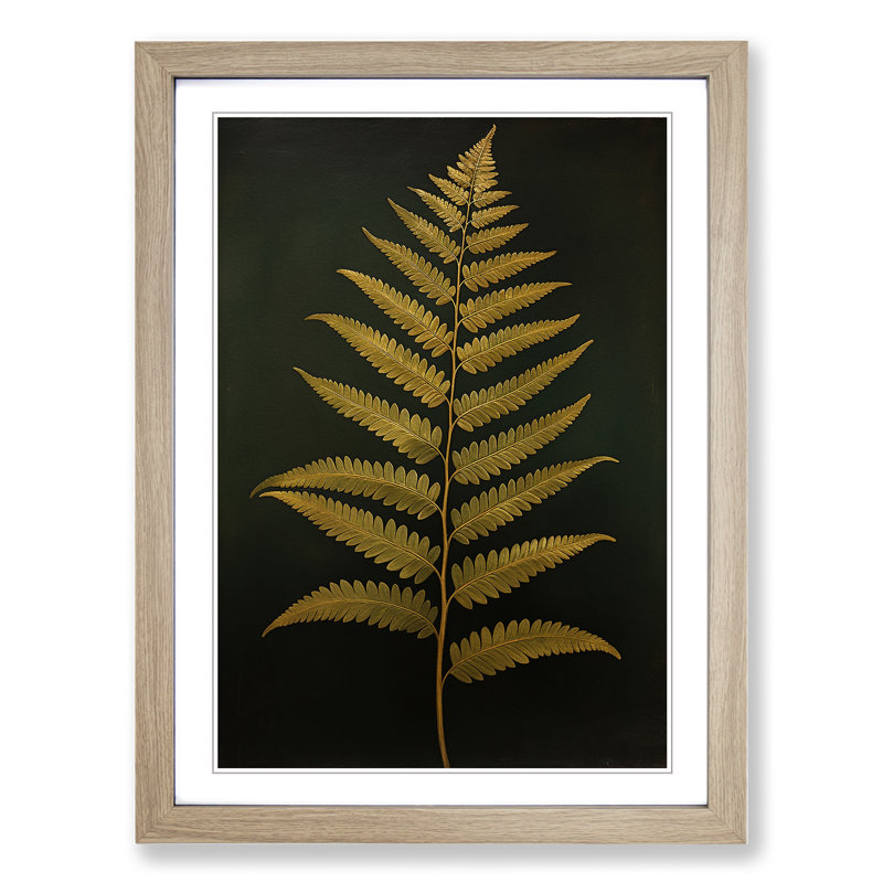 Fern Leaf Classicism - Framed Print, 34cm H x 25cm W x 2cm D, Oak