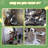 Christmas Cat tree