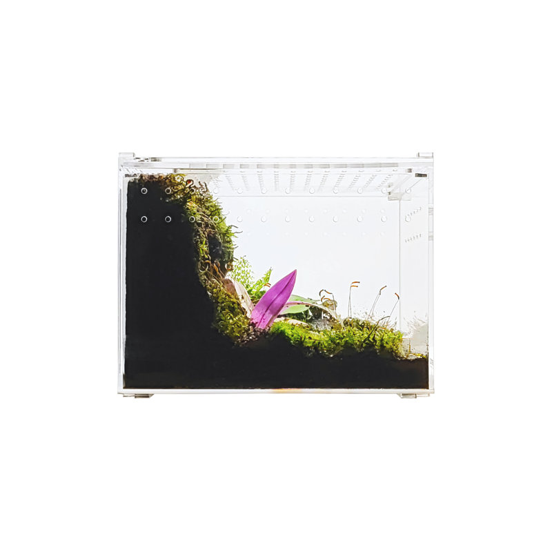 Acrylic Reptile Terrarium, 1 Gallon - 8"H x 6"W x 6"D