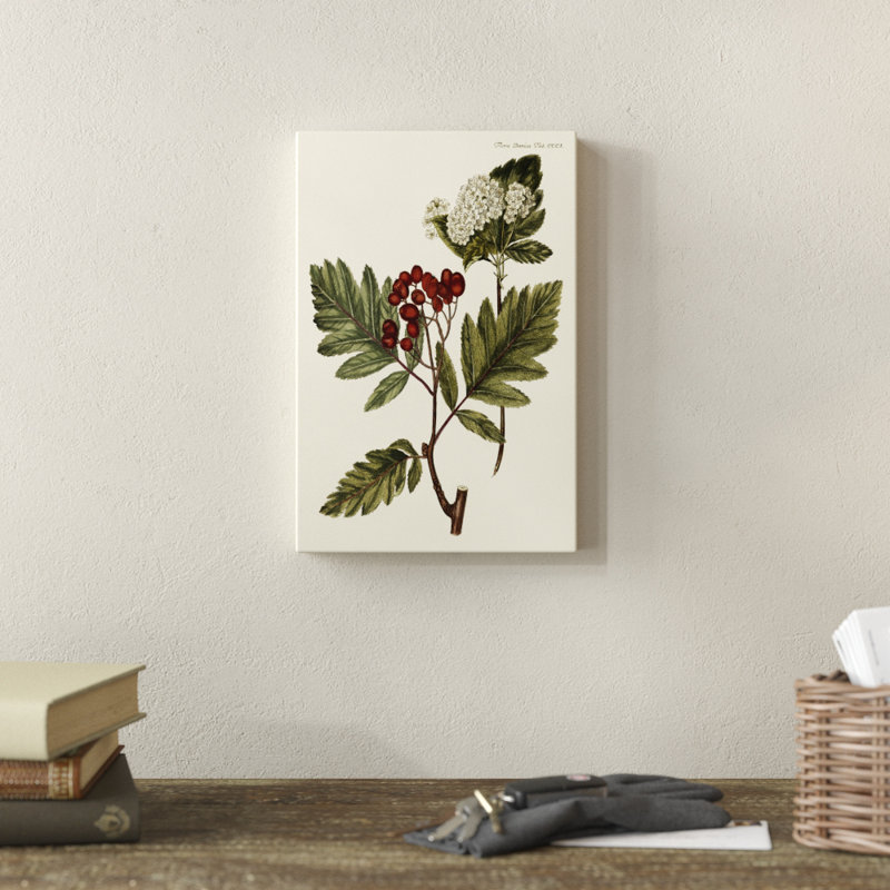 'The Hawthorne Tree' by Georg C. Oeder - Painting Print, Wrapped Canvas, 30cm H x 20cm W