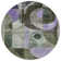 Machine Washable Indoor/Outdoor Segin ACN1117 Olive Rug