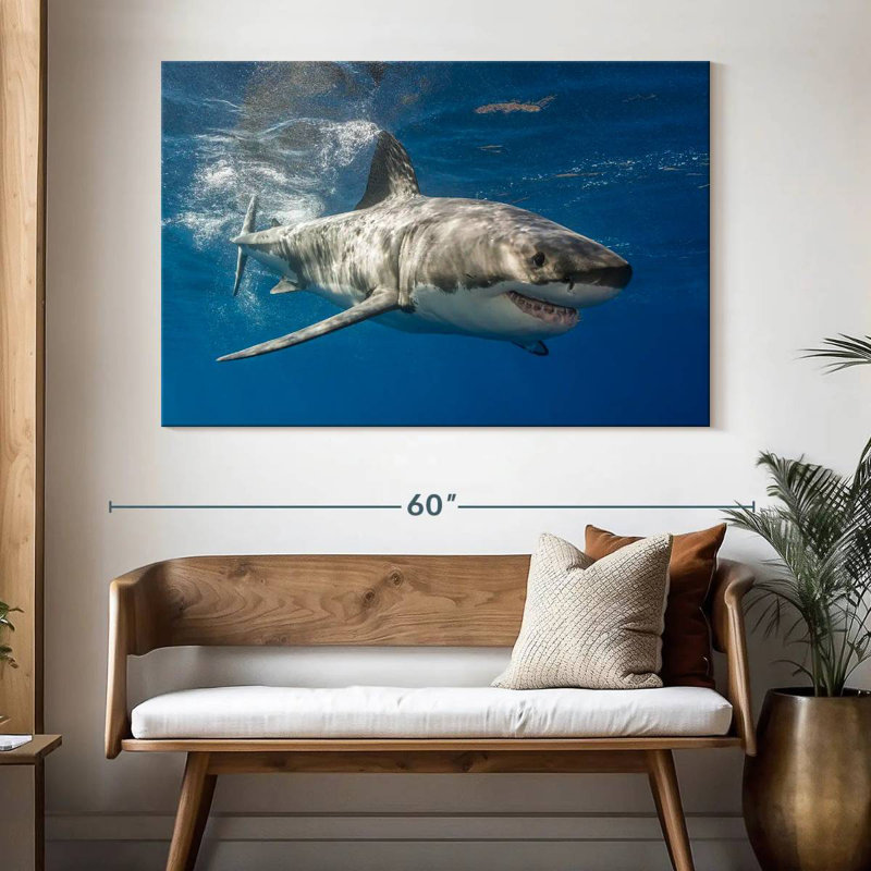 Shark, 34" H x 51" W