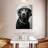 Brampt Black Labrador Boss-108245366