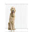 Waynesfield Metal Pet Gate Accessory-1656215083-1656215073