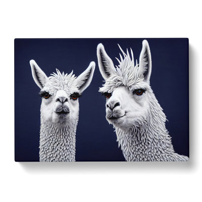 The Two Llamas Vol.3 - Wrapped Canvas