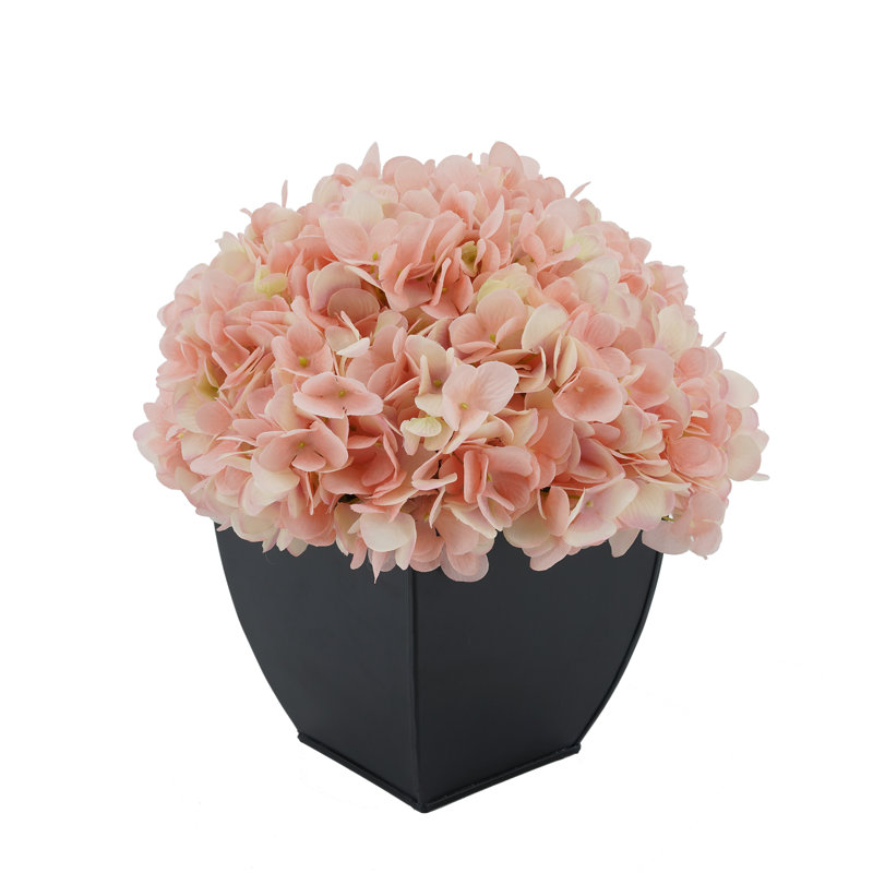 Arrangement floral hortensia en pot, Rose