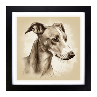 Whippet Drawing - Framed Print
