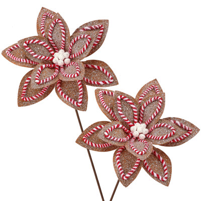 Tige de poinsettia 22 "sucre et épices