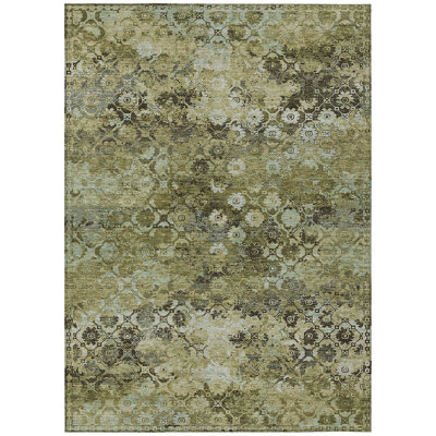 Machine Washable Indoor/Outdoor Chantille ACN2433 Traditional Rug
