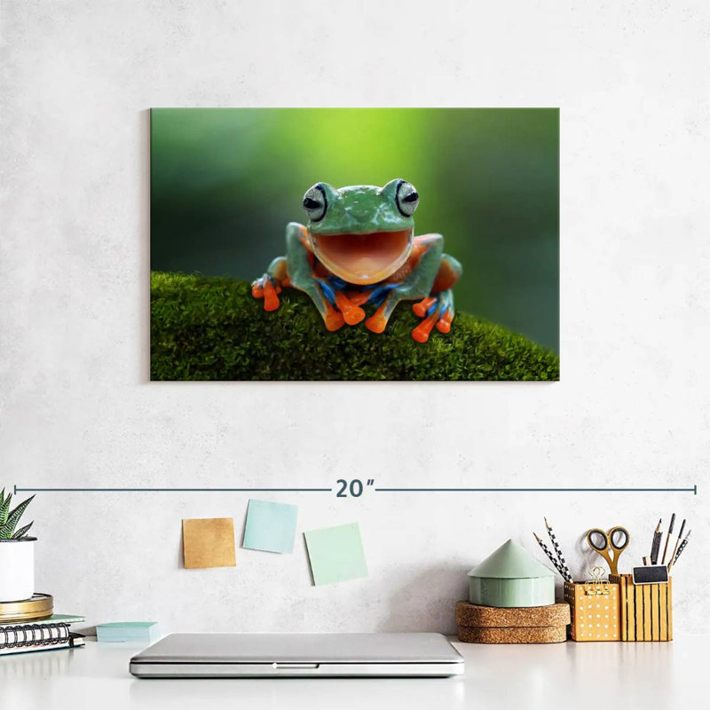 Brampt Happy Tree Frog, 8" H x 12" W