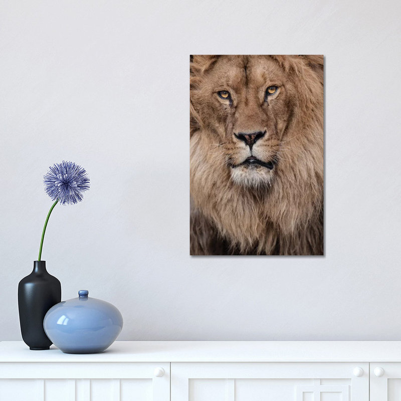 Lion V by Goran Anastasovski - Wrapped Canvas Print, 30.48 cm H x 45.72 cm W