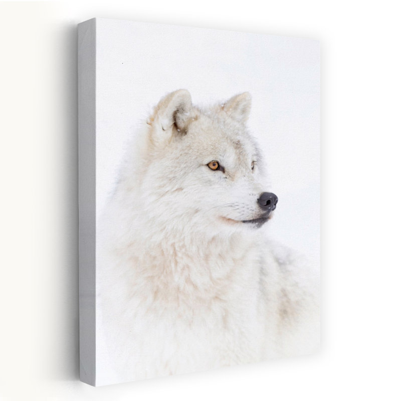 Portrait of an Arctic Wolf Abstract Contemporary Wolf Forest Landscape Wall Art Print 1 Piece Wrapped Canvas Wall Art
