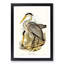 Great Grey Herons by Elizabeth Gould - Framed Print-55575370-55575374