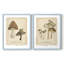 Champignons des bois - Impression encadrée de qualité supérieure - Prêt à être accroché - aucun clou requis - aucun clou requis-519351090-519351095