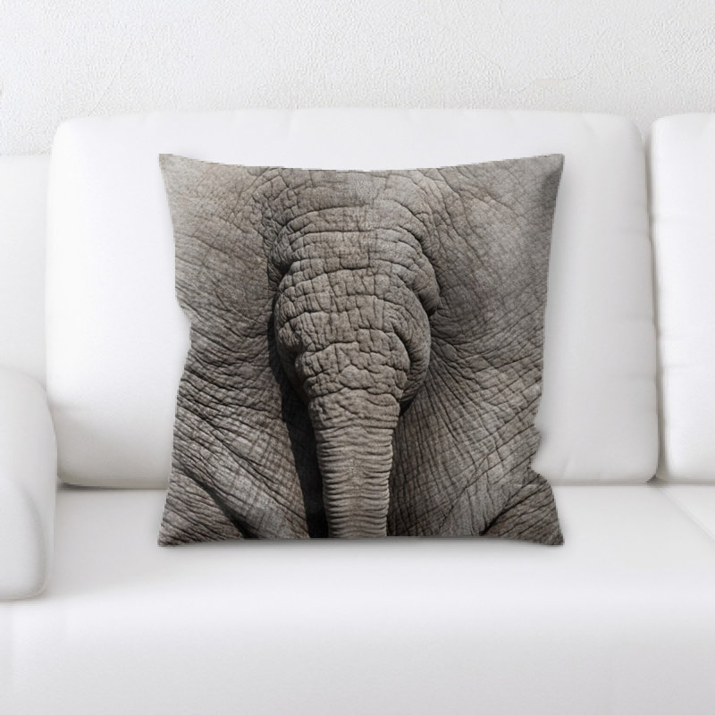 Coussin en afrique