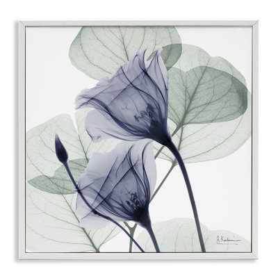 Serene Tulips & Herbs Framed Giclee, design by Albert Koetsier