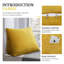 Cushion-581465324