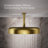 Statement 14" Single-Function Wall or Ceiling-Mount Round Rainhead, Round Rain Showerhead 2.5 GPM-66779260