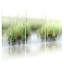 Hiver, forêt, roseaux, reflet de l'eau, scène naturelle, ensemble de 3 impressions sur toile-1153665051