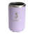 Viola Purple