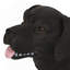 Dog Bench, Outdoor Bench, Mudroom Bench-1146561920