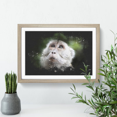 Macaque Monkey - Picture Frame Graphic Art