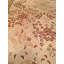 Oriental Area Rug in Beige