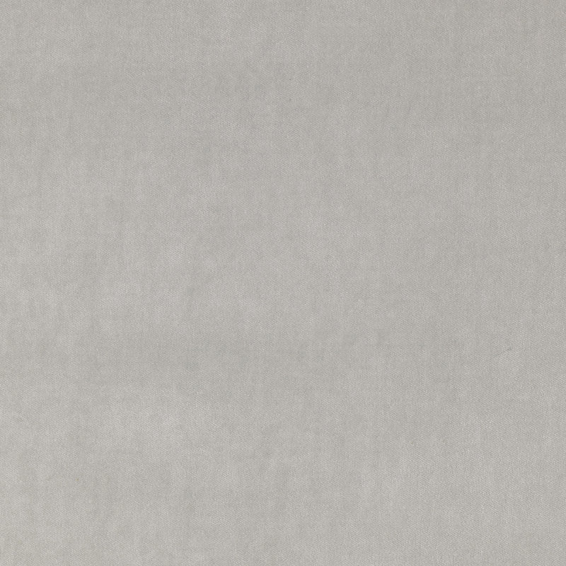 Plush Fabric, Dove