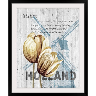 Anneloes «Holland Tulips», Alicia Soave, art textuel