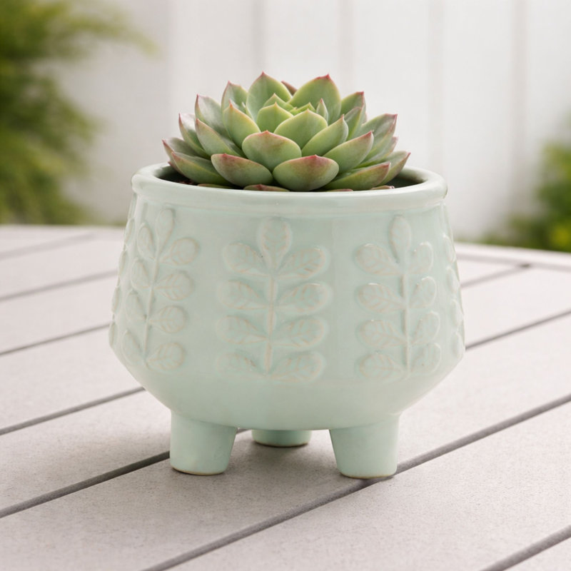Pot à fleurs en céramique