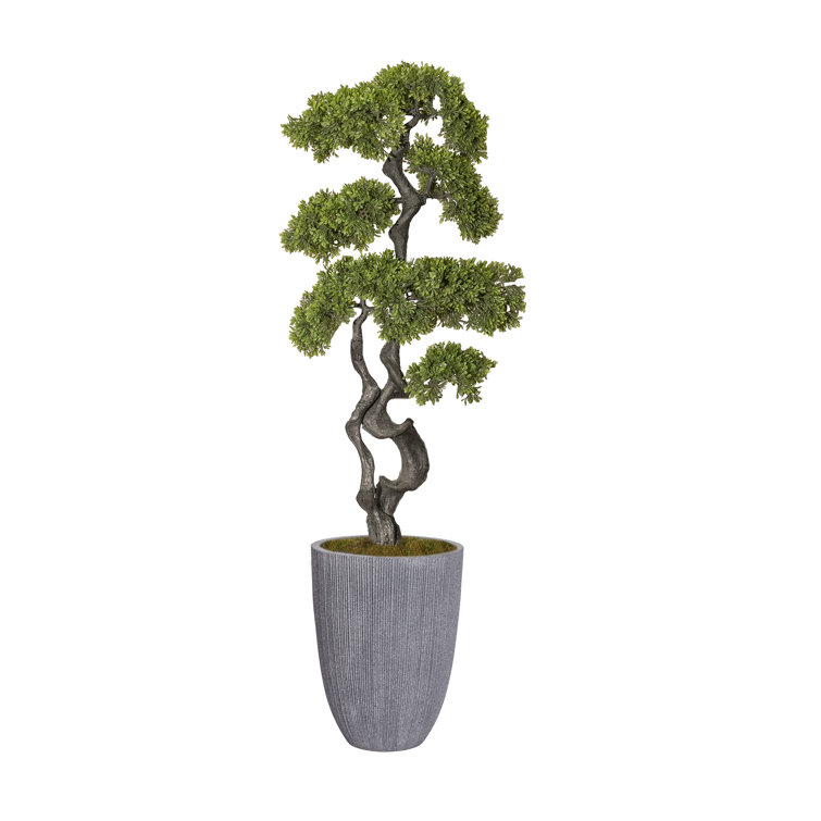 Vintage Home 60.1'' Faux Bonsai Tree in Planter & Reviews | Wayfair